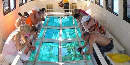 Hurghada Glass-Bottom Boat & Coral Reef Experience