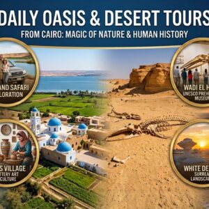 daily oasis and desert tours in Egypt