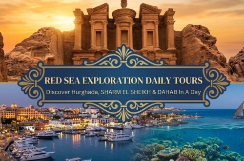 Red sea exploration daily tours