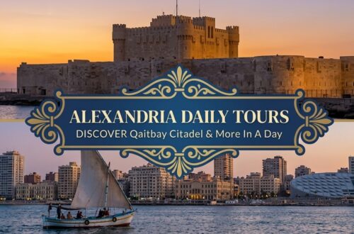 Alexandria daily tours discover Qaitbay citadel